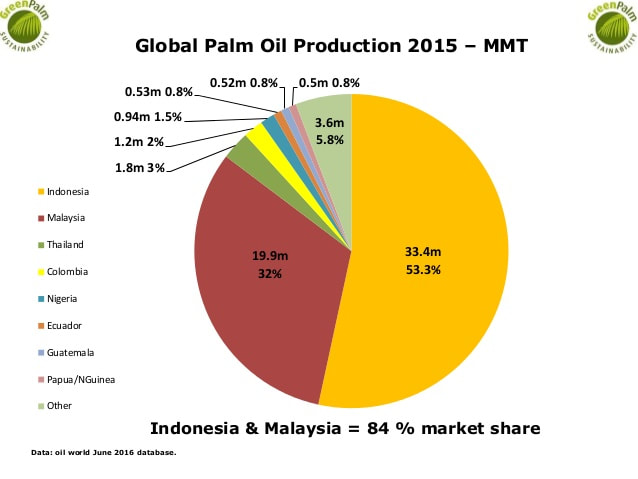Is There More to Palm Oil Than Deforestation?